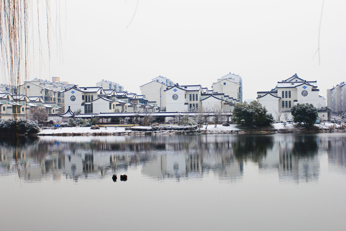 江南雪景(王云平摄影).JPG