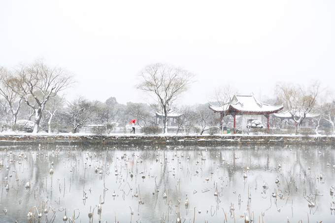 江南雪韵(金卫国摄影).JPG